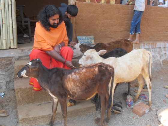 Mohanji's love for animals