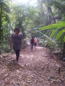 Conscious Walking - Rainforest, Australia