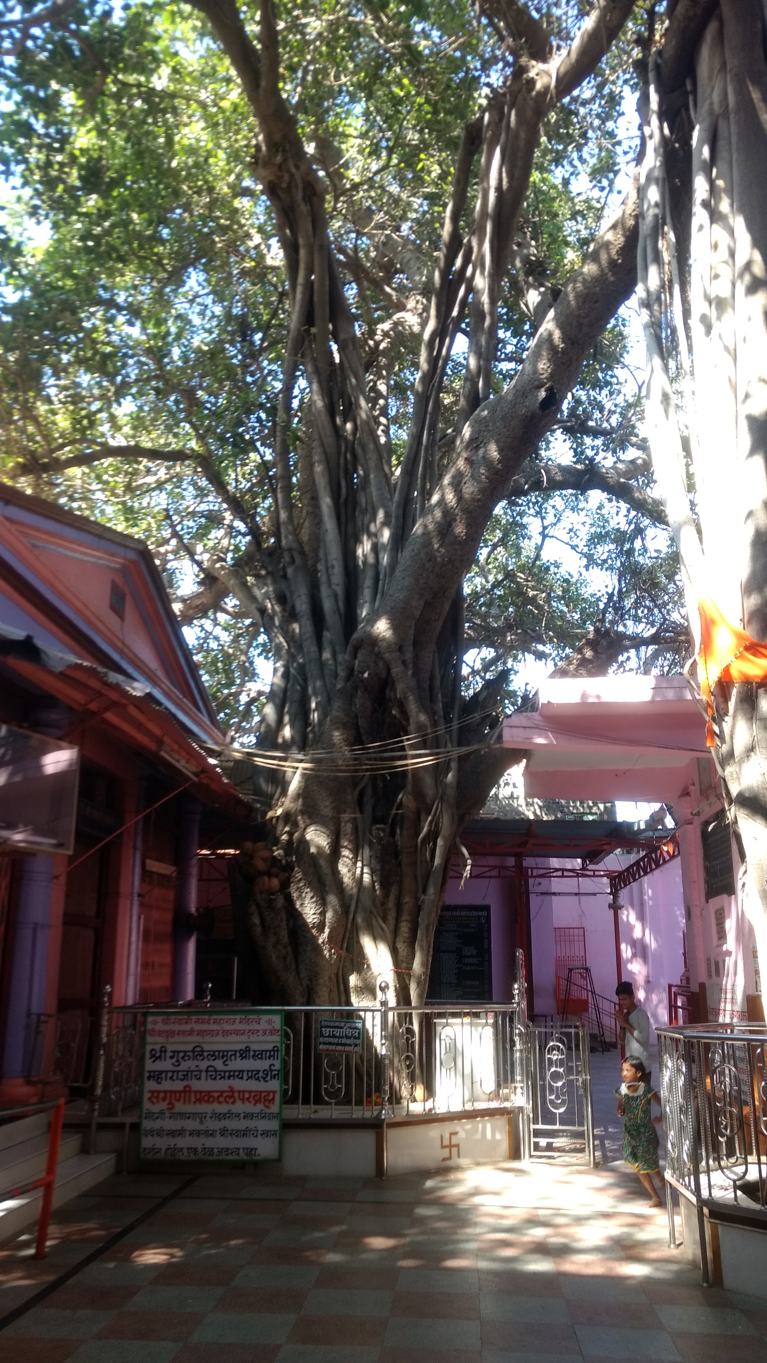 Mohanji Chronicles - Back from the dead – A tryst with Swami Samarth of Akkalkot - Mohanji visits banyan tree.jpg