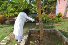 mohanjichronicles-Gopal Krishna Baba - Mohanji Watering Audumbar Tree